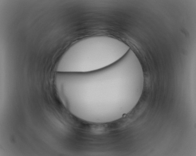 X0000114150373200910081118