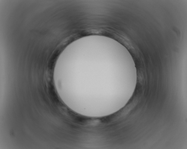 X0000114150374200910081118