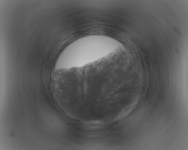 X0000114150375200910081118