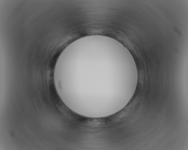 X0000114150378200910081118