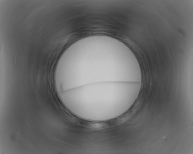 X0000114150379200910081118