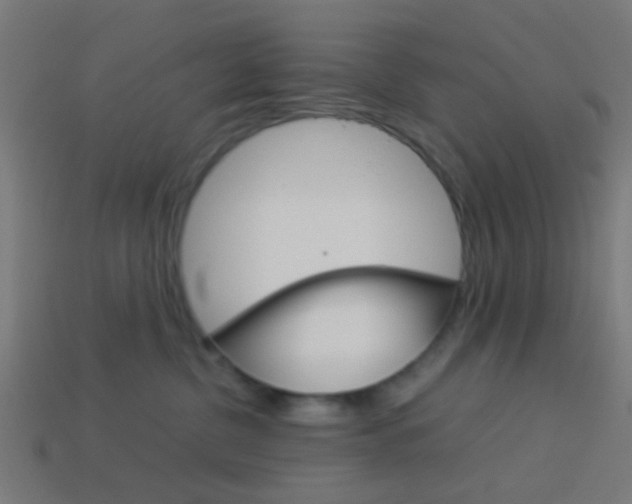 X0000114150380200910081118