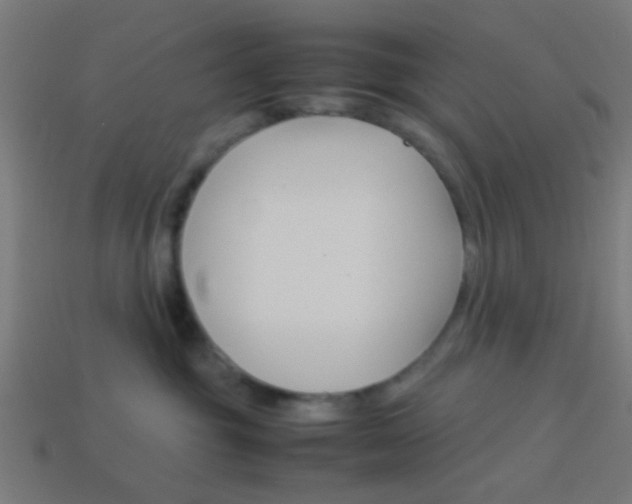 X0000114150381200910081118