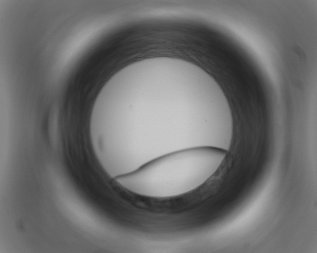 X0000114150382200910081118