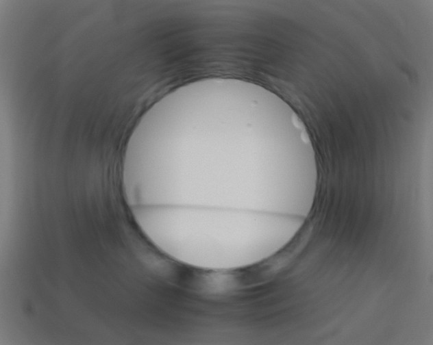 X0000114150383200910081118