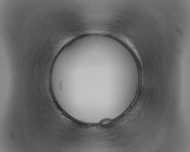 X0000114150385200910081117