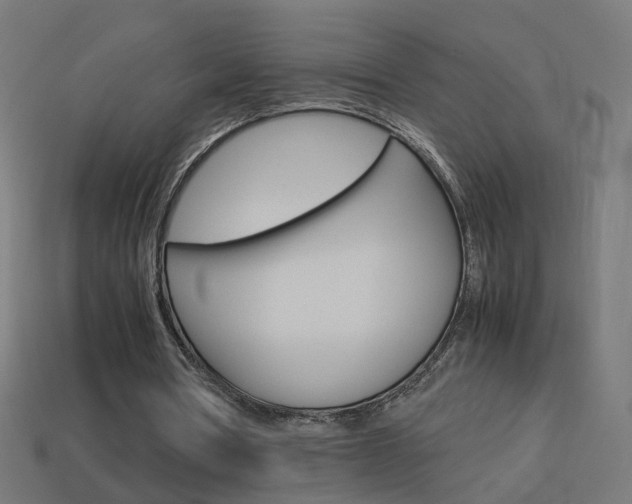 X0000114150386200910081117