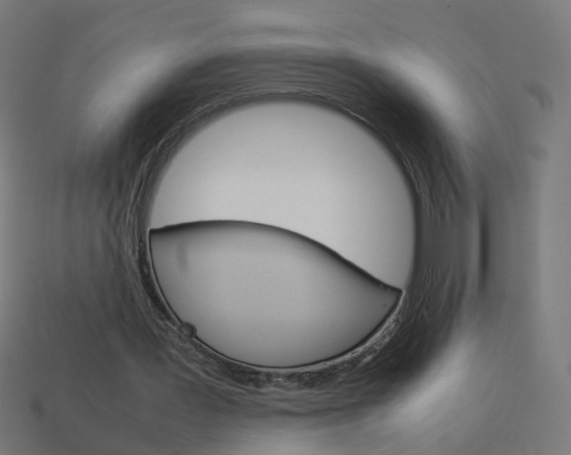 X0000114150387200910081117