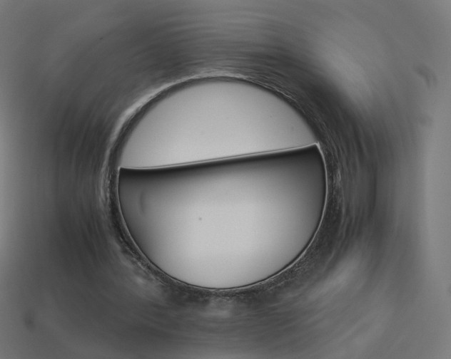 X0000114150388200910081117