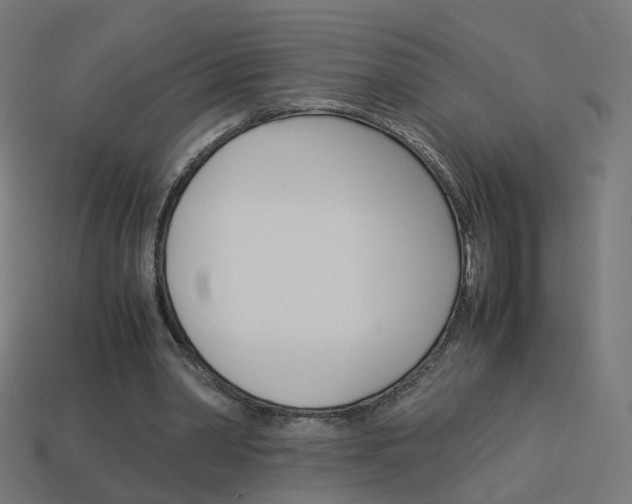 X0000114150390200910081117