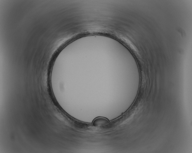 X0000114150391200910081117