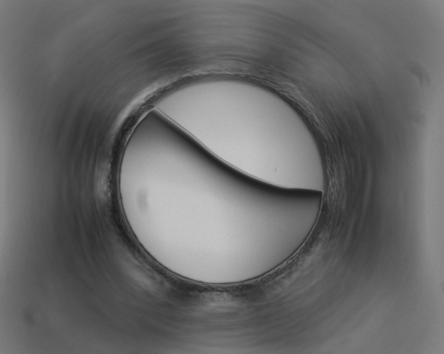 X0000114150392200910081117