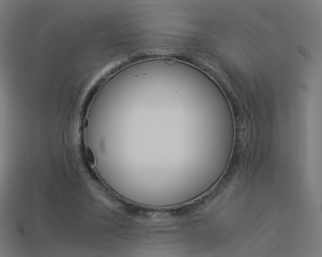 X0000114150395200910081117