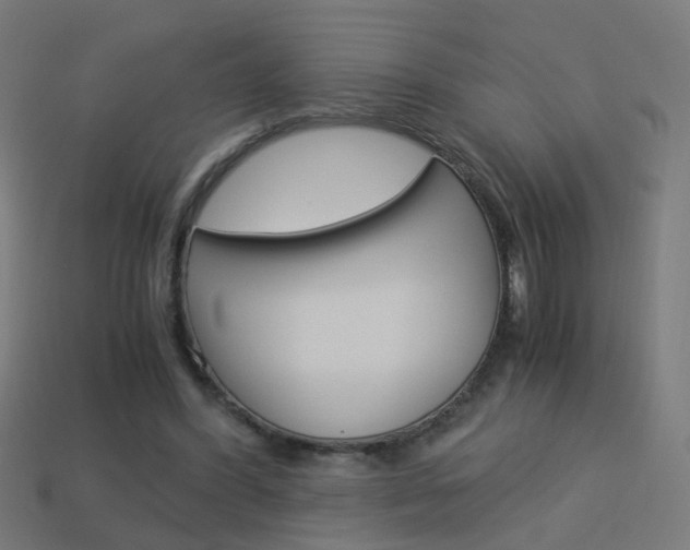 X0000114150396200910081117