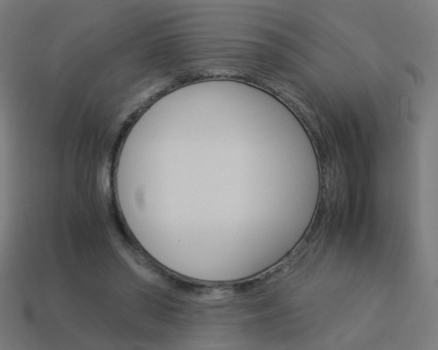 X0000114150398200910081117