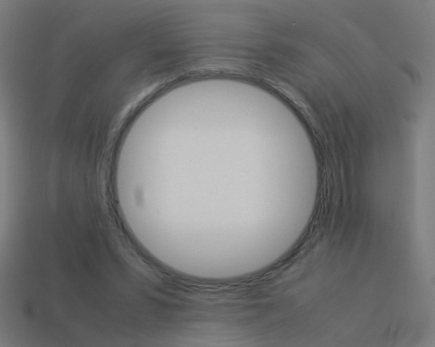 X0000114150399200910081117