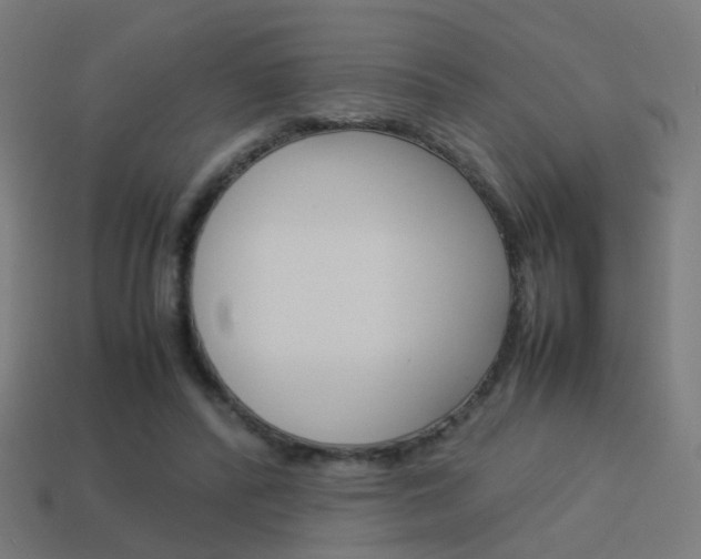 X0000114150400200910081117