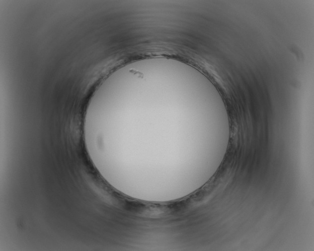 X0000114150402200910081117