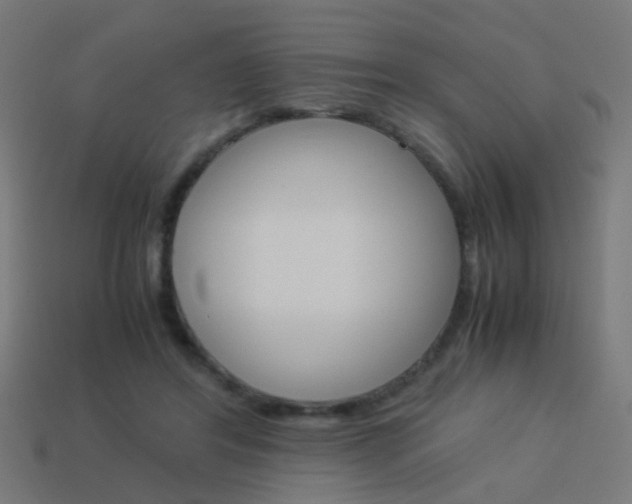 X0000114150404200910081117