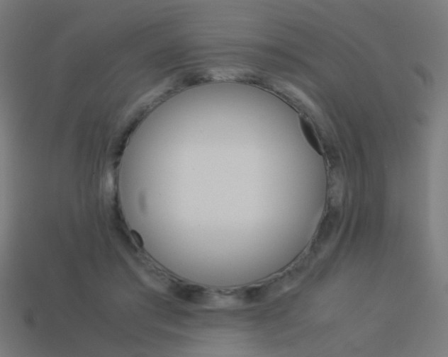 X0000114150405200910081117
