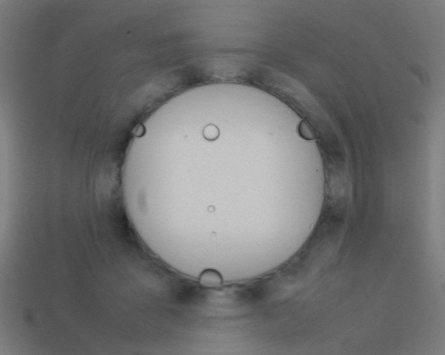 X0000114150411200910081117