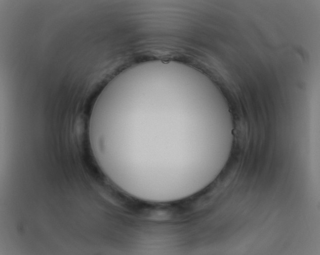 X0000114150412200910081117