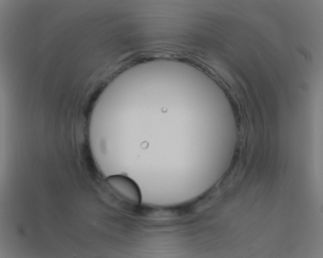 X0000114150413200910081117