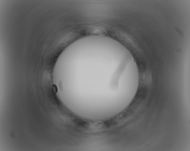 X0000114150415200910081117