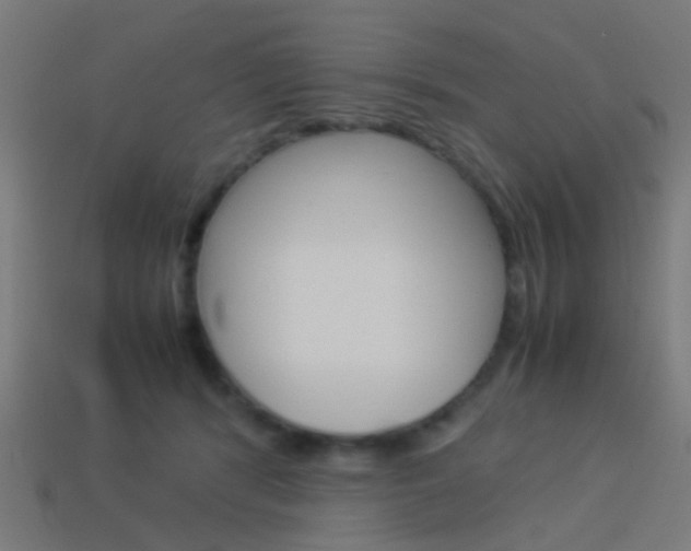 X0000114150416200910081117