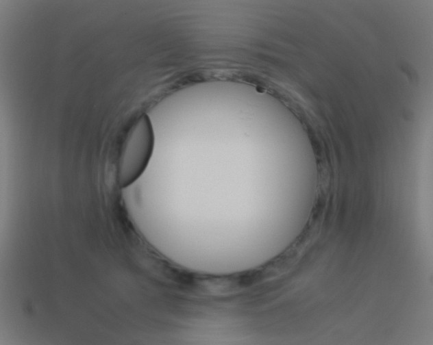 X0000114150417200910081117