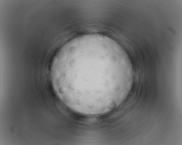 X0000114150418200910081117