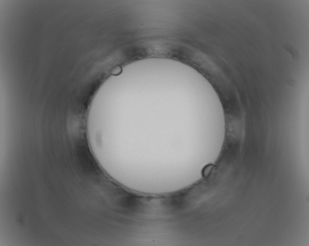 X0000114150419200910081117