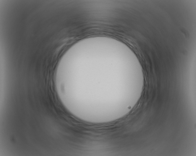 X0000114150423200910081117
