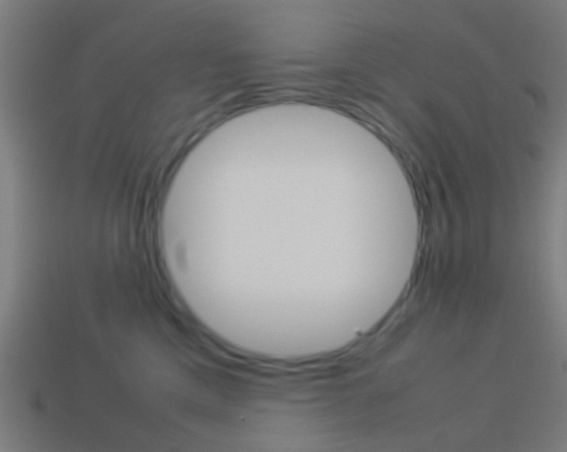 X0000114150425200910081117