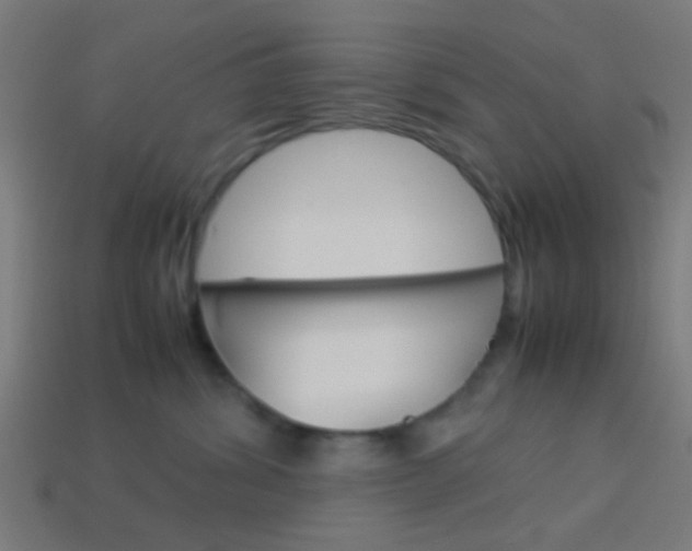 X0000114150428200910081116