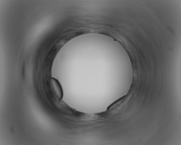 X0000114150429200910081116