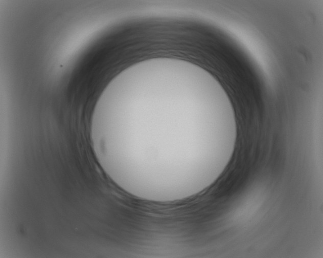 X0000114150431200910081116