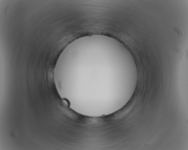 X0000114150432200910081116