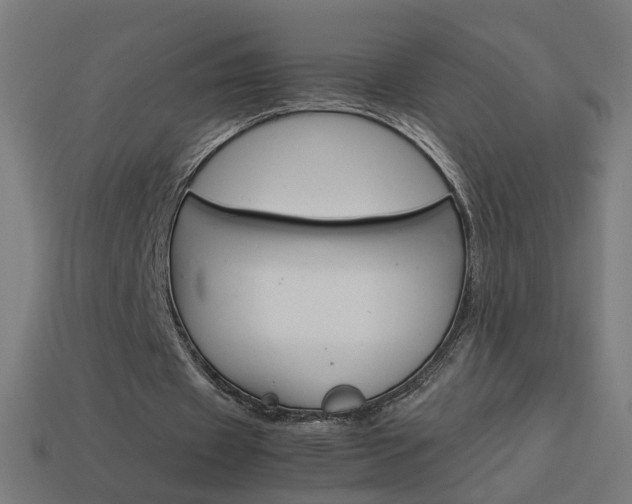 X0000114150433200910081116