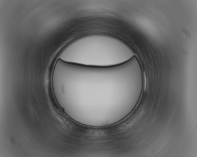 X0000114150435200910081116