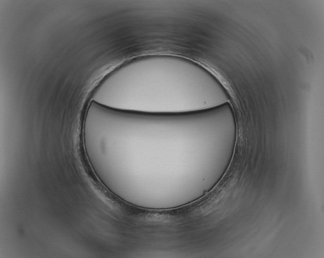 X0000114150437200910081116
