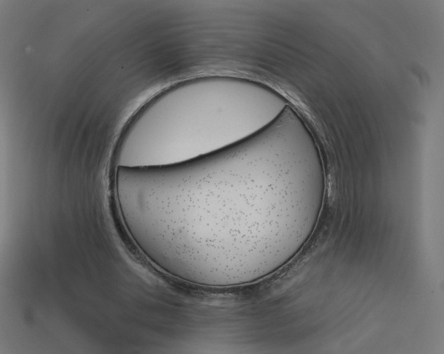 X0000114150438200910081116