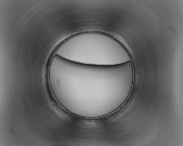 X0000114150439200910081116