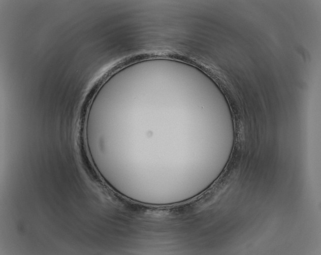 X0000114150440200910081116