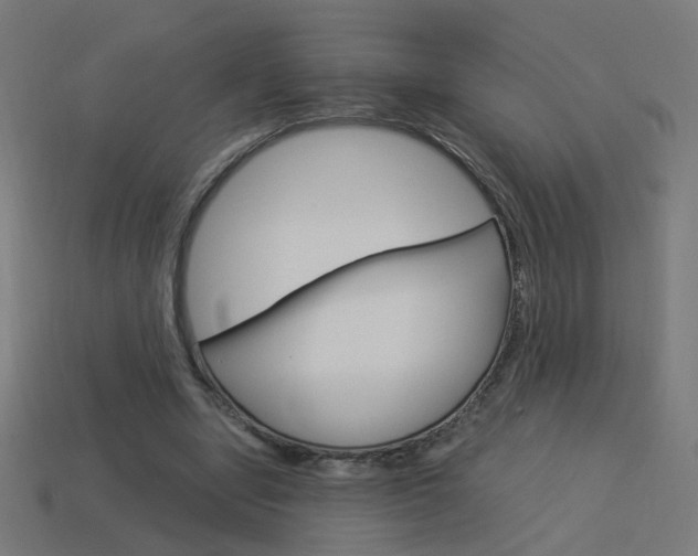 X0000114150442200910081116