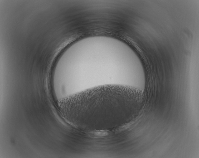 X0000114150443200910081116