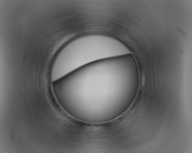X0000114150444200910081116