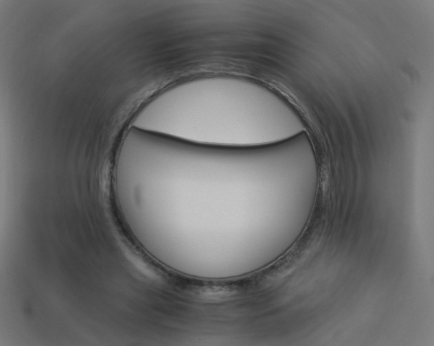 X0000114150445200910081116