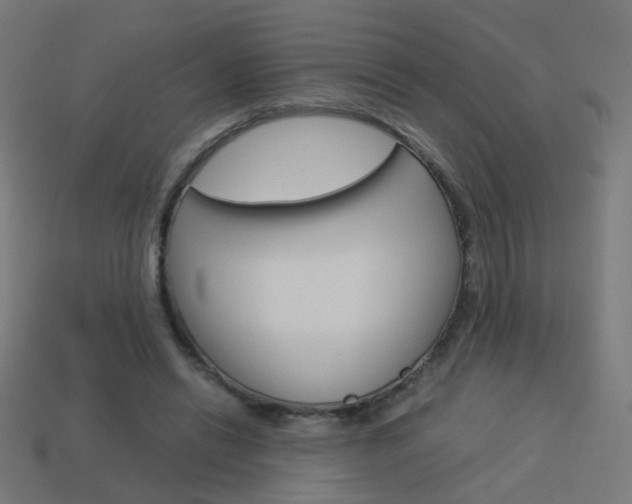 X0000114150446200910081116
