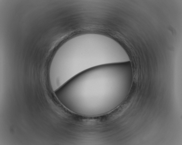 X0000114150448200910081116